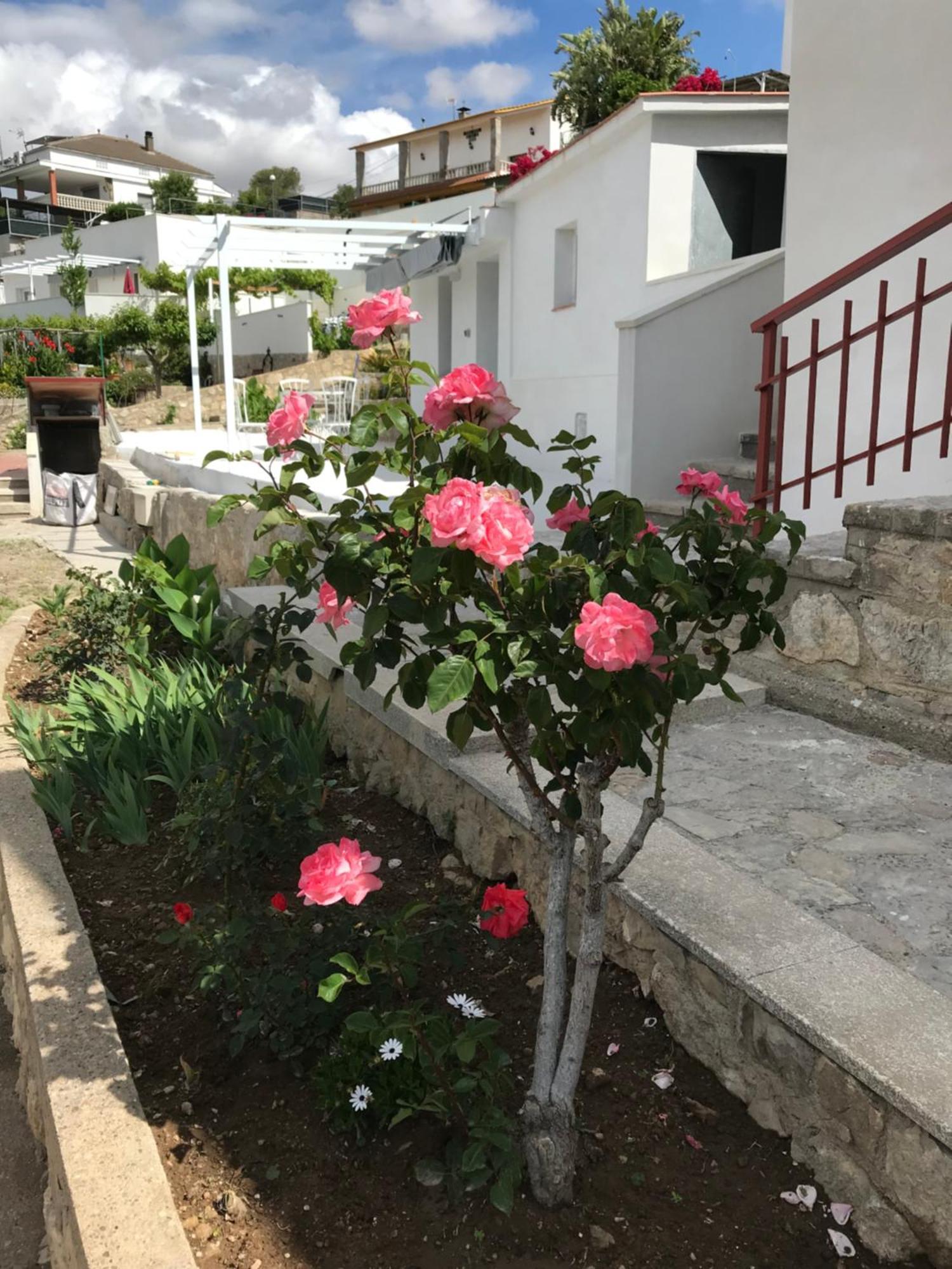 Campagne Luxueuse De Sitges Villa Olivella Eksteriør billede